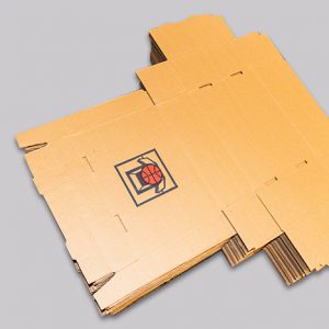 Cajas de archivo autoarmables
